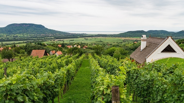 Borvidékek a Balaton körül - A Balaton-felvidék