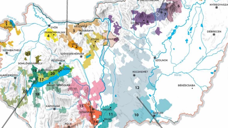 6 borvidékről mutatjuk neked a kedvenc tételeinket
