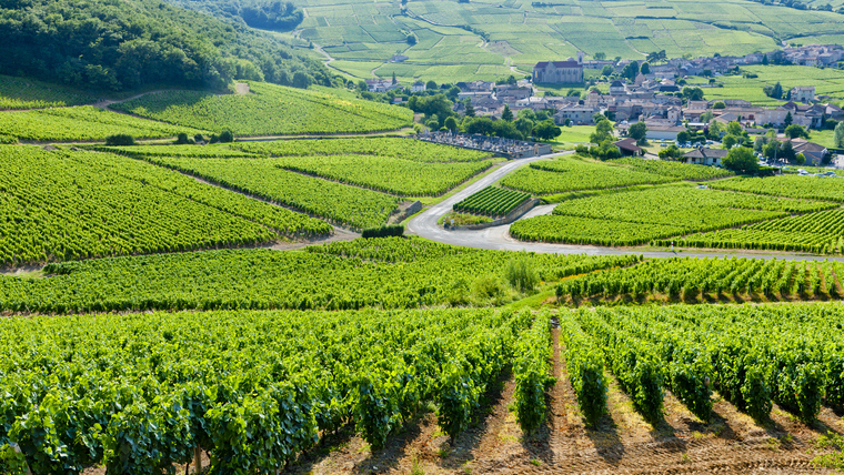 Az EU borainak egyre több versenytársa akad