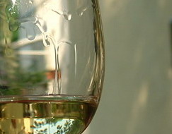 Jegyzetek Tóth Sándor borairól