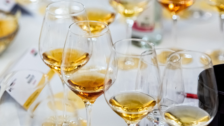 Fiatal Tokaji aszú évjáratok - A Winelovers Wine Awards mesterkurzuson több izgalmas évjárat tételeit hasonlíthattuk össze