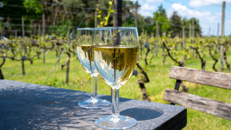 Alkoholmentesített bor: nem szőlőlé