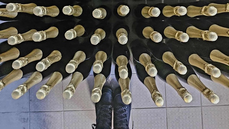 Saját pezsgőnk születése Tállyán – a Tokaj Art Wine Pezsgőszeánszon jártunk