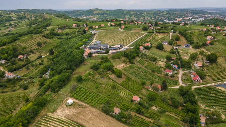 Túlélési kézikönyv a borpiac új korszakához: hitelesség, közelség, minőség
