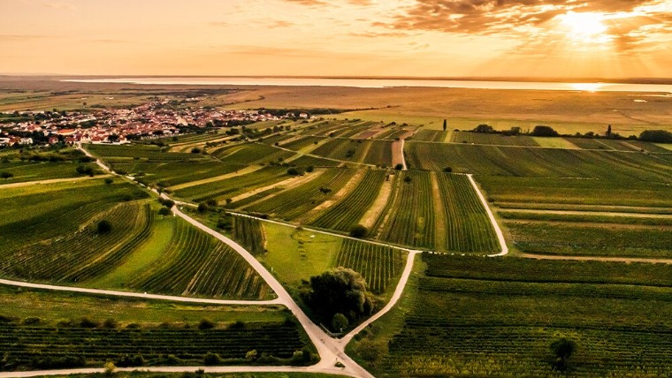 Ezért lett Burgenland a borrajongók egyik kedvence