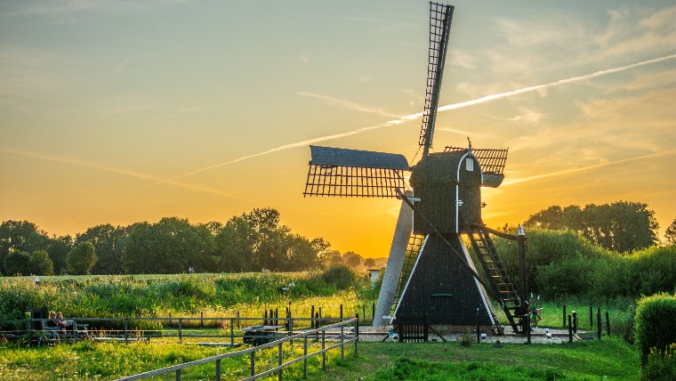 Hollandia a második legjobb bortermelő évét zárta 2025-ben