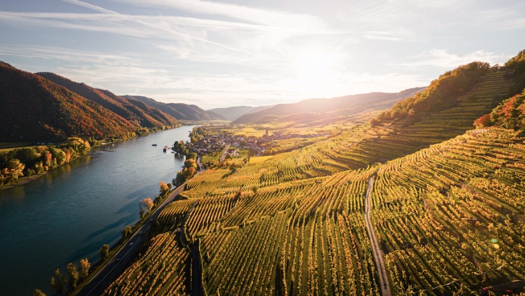 Wachau sztárja, a Schneeweiss Riesling