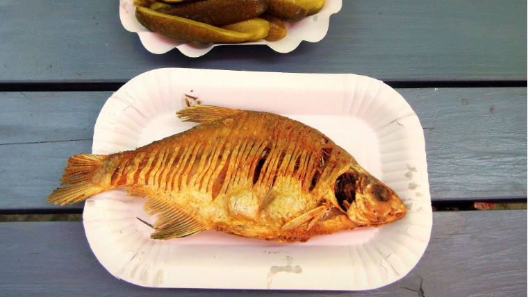 Balatoni halsütők toplistája