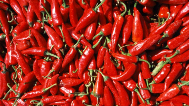 Csapnivaló a kiskereskedelemben kapható fűszerpaprika minősége Csapnivaló a kiskereskedelemben kapható fűszerpaprika minősége