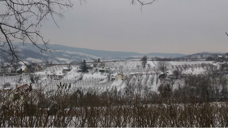 Így tekint vissza 2015-re a Fekete Borpince