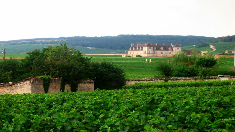 Veszélyben a burgundi Veszélyben a burgundi