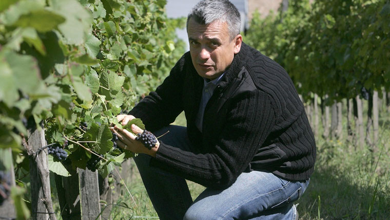 Becsvágyó boregyéniség a Rókusfalvy Sauvignon Blanc 2013