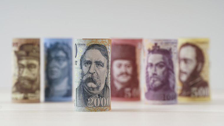 Borászati beruházási pályázat február 15-ig