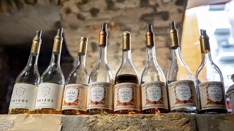 Új vezető a Pajzos Tokaj élén