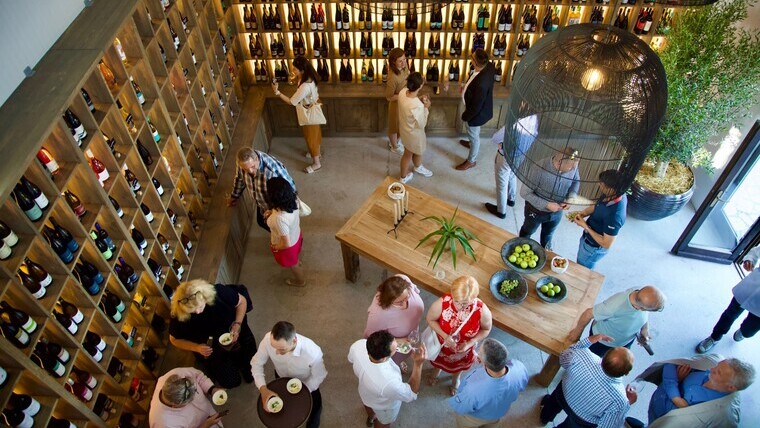 Új korszak kezdődik a balatoni borturizmusban: Megnyílt a Balaton Wines Visitor Center Balatonszőlősön 