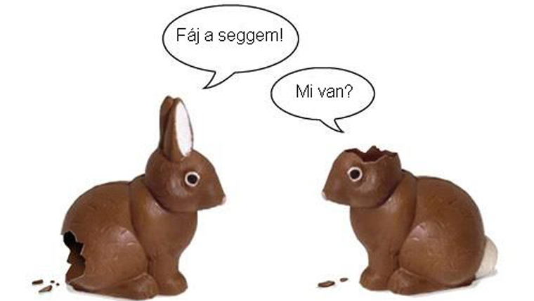 A csokinyúl a legnépszerűbb A csokinyúl a legnépszerűbb