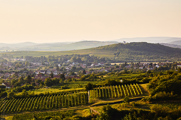Mindent tudsz a magyar borvidékekről?