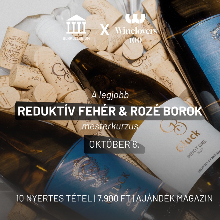 A kategóriagyőztesektől a best buy borokig – októberi TOP 100 kóstolók