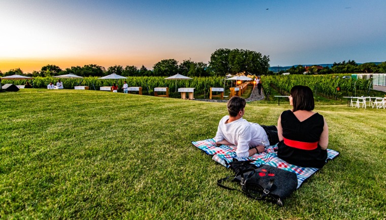 Jön a magyar borélet csúcsa: május és június programajánlója