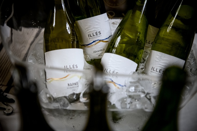 Több mint egy pontszám – élmények a Winelovers 100+ Nagykóstolóról