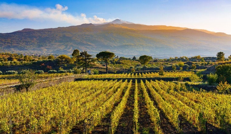 Bordeaux után új korszak kezdődik a fine wine világában