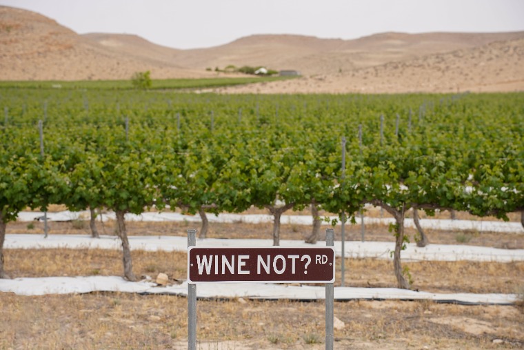 Amerika ma 250 éves, borban pedig sokkal több, mint a Napa Valley