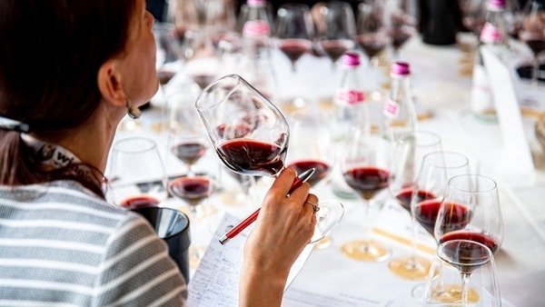 Június 18-ig nevezhetsz a boroddal a Winelovers Wine Awards-ra
