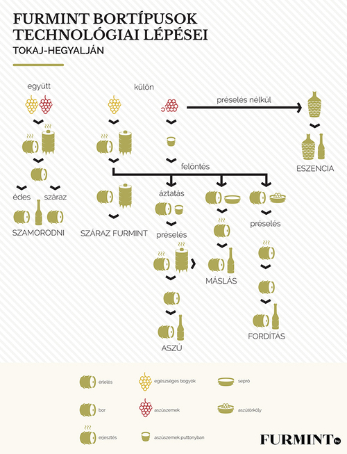 Infografikákon minden a furmintról