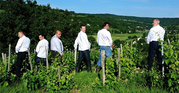 Levizelték szőlőjüket a szekszárdi borászok