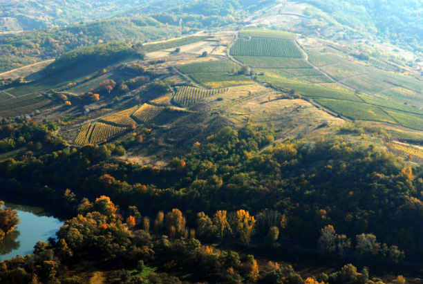 Tokajra figyel a világ