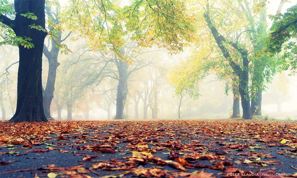 Ne szomorkodjon, itt a tíz legjobb dolog az őszben!
