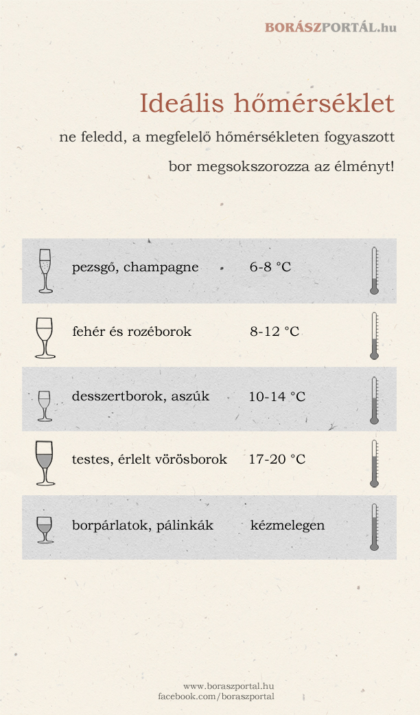 Így válaszd ki a bor megfelelő hőmérsékletét
