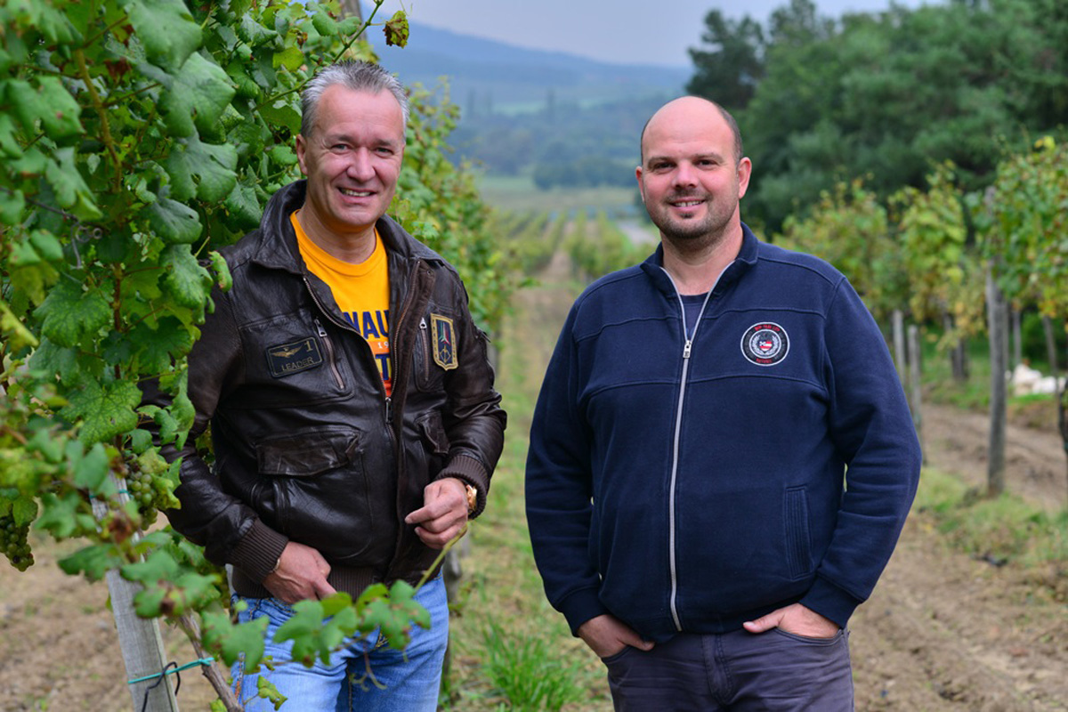 Fajtáktól válik meg, de újakat is telepít a Villa Tolnay