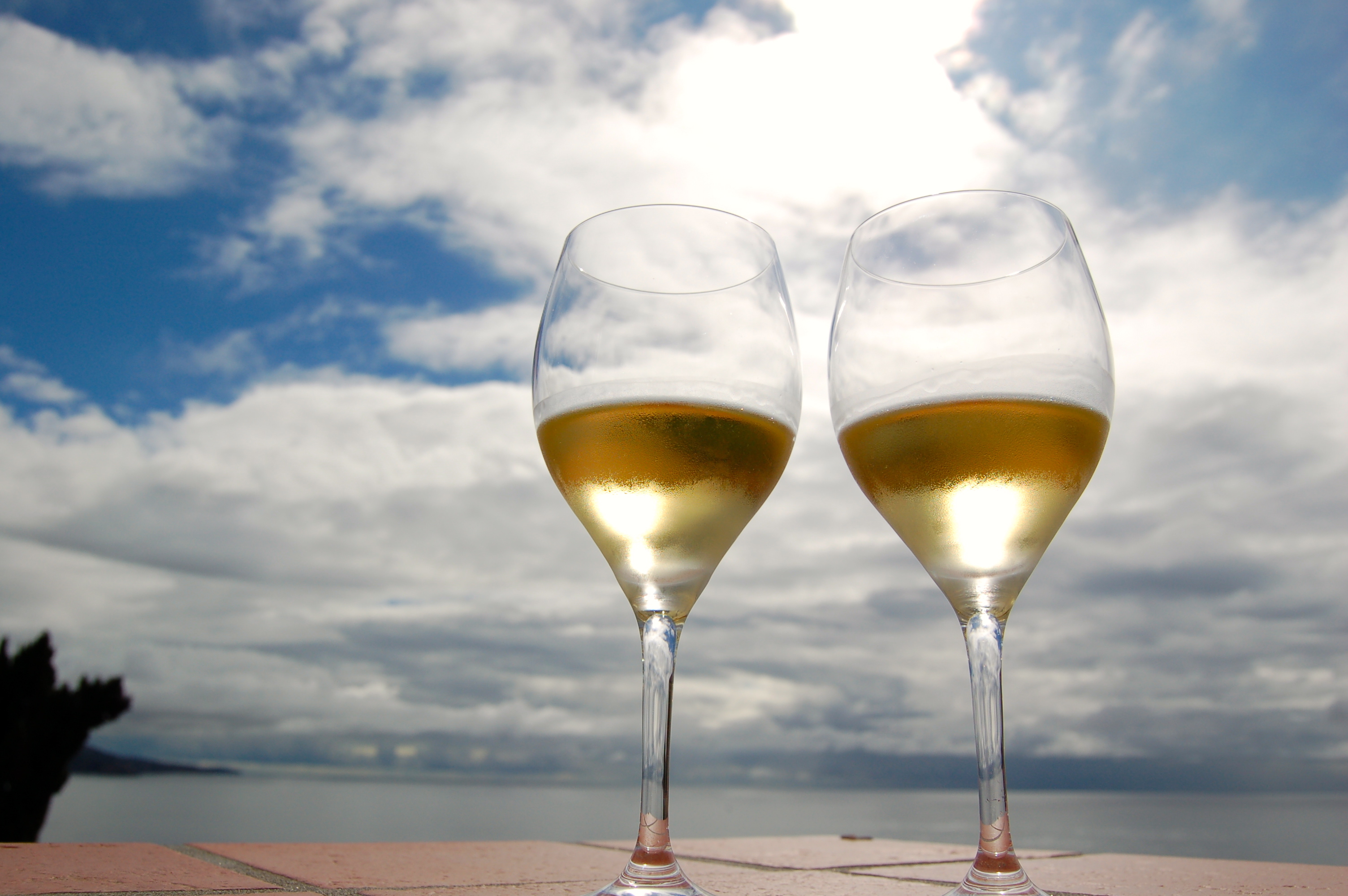 10 kifejezés, amit ismerned kell, ha fehérbort vásárolsz