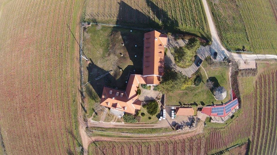 Légifelvételek a Jásdi Borteraszról