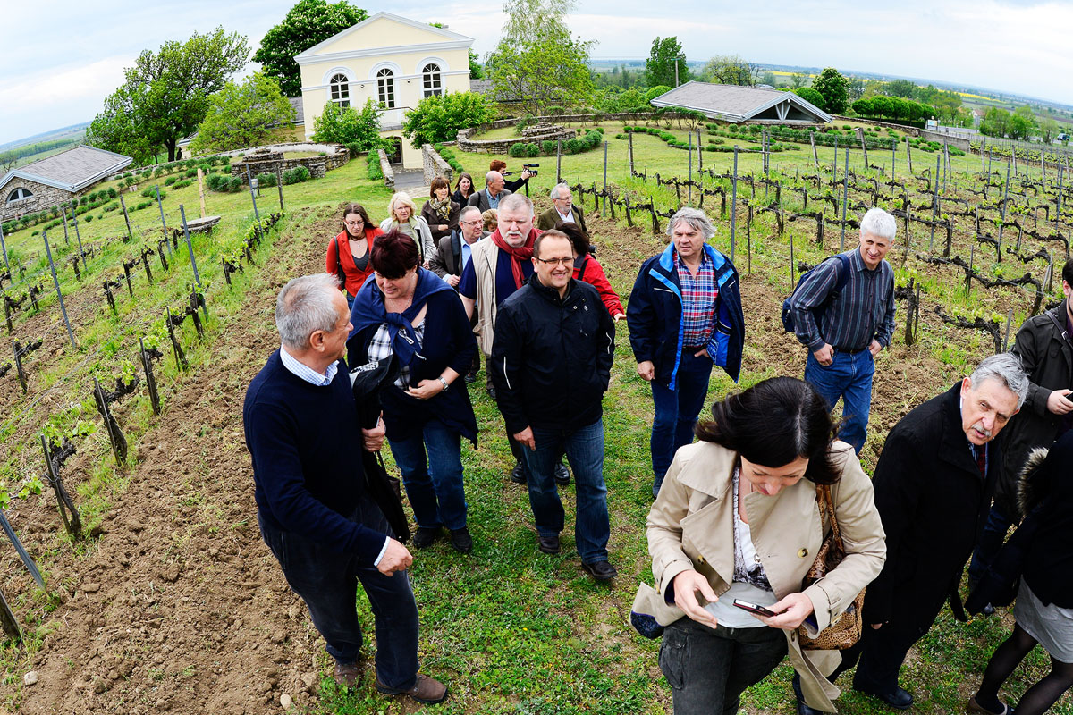 A Nagy Tokaji Borárverés exkluzív borai is ott lesznek a Tokaj Grandon