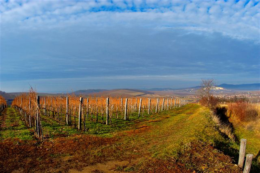 Tokaj: a kicsik és nagyok összefogása a siker kulcsa