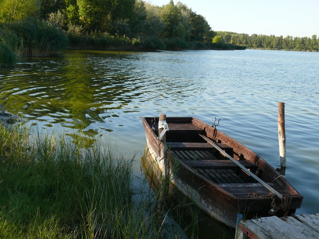 Szörfölj velünk borvidékeink legszebb tavain!