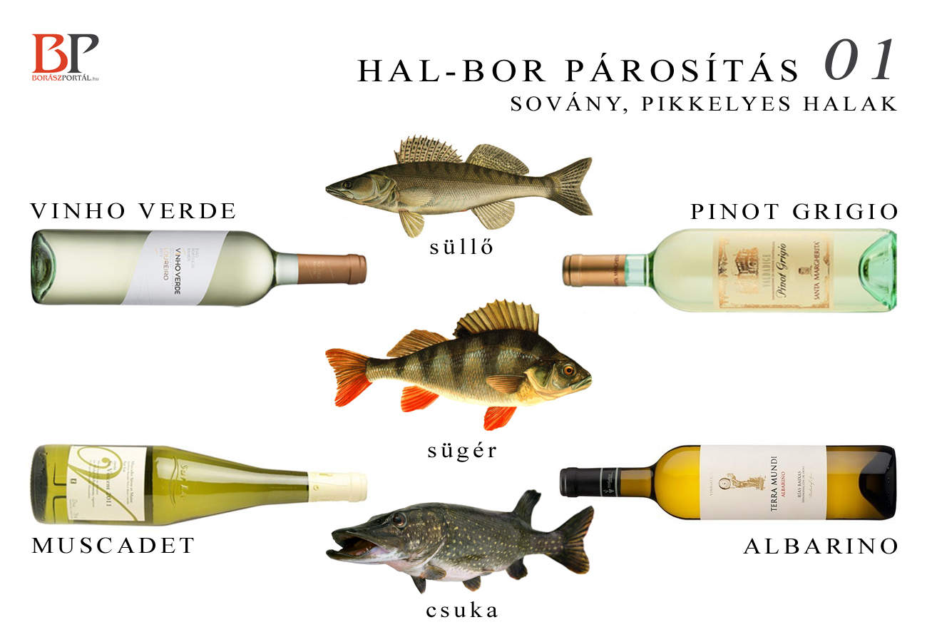 Ezeket a borokat válaszd a halakhoz!