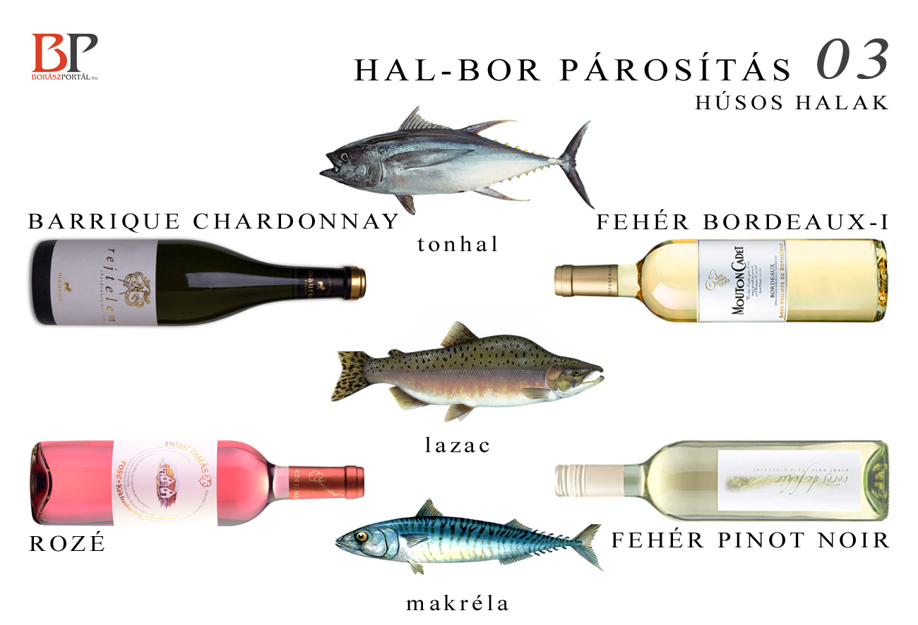 Ezeket a borokat válaszd a halakhoz!