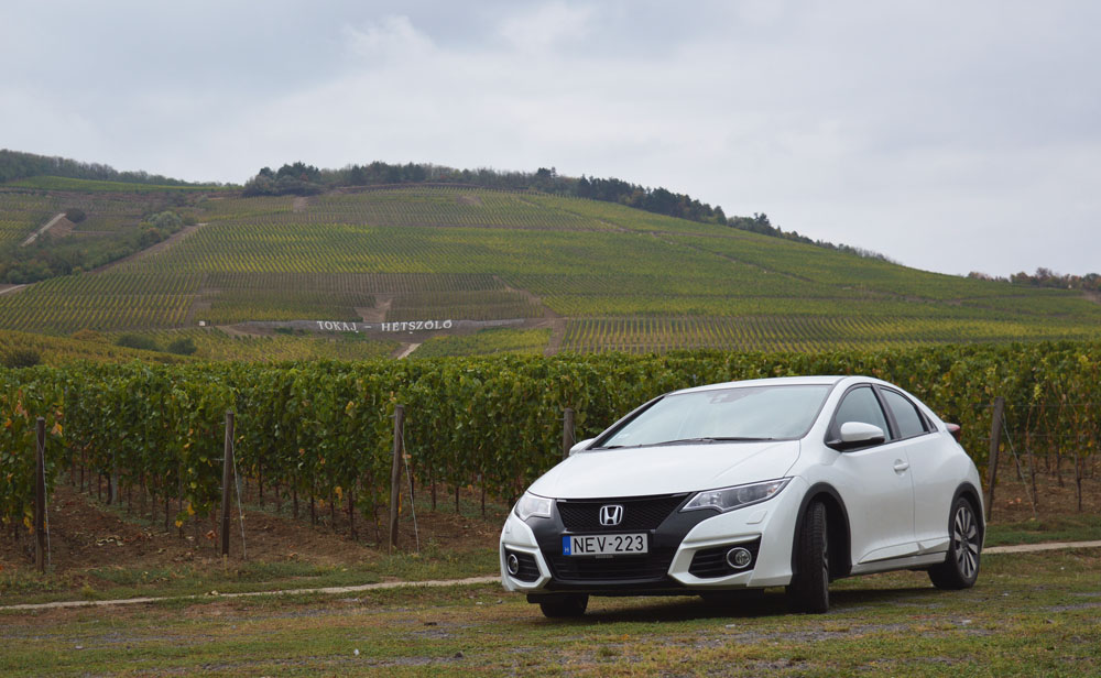 Tokaj-Hétszőlő: főszerepben a furmint és a dűlőszelektált aszúk 