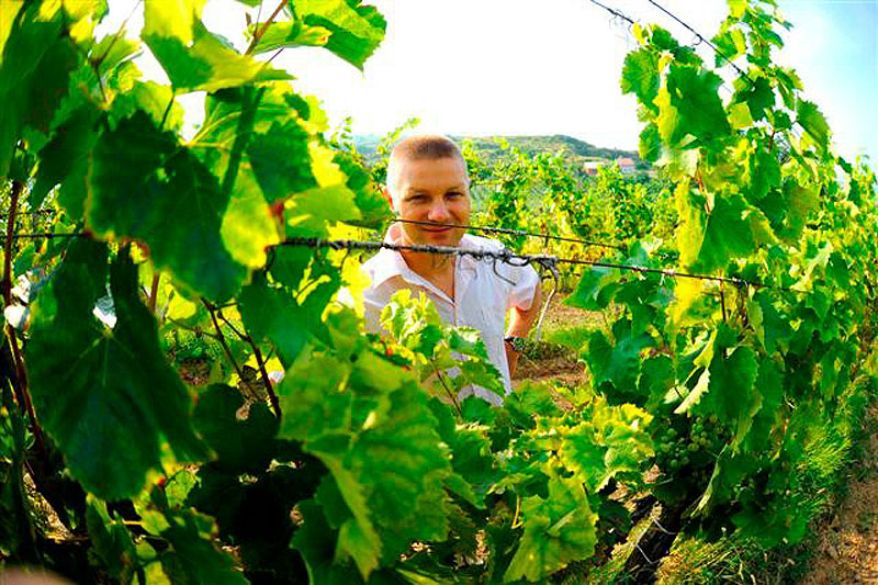 Hölgyek, akiket meg kell ismerned Tokaj-Hegyalján