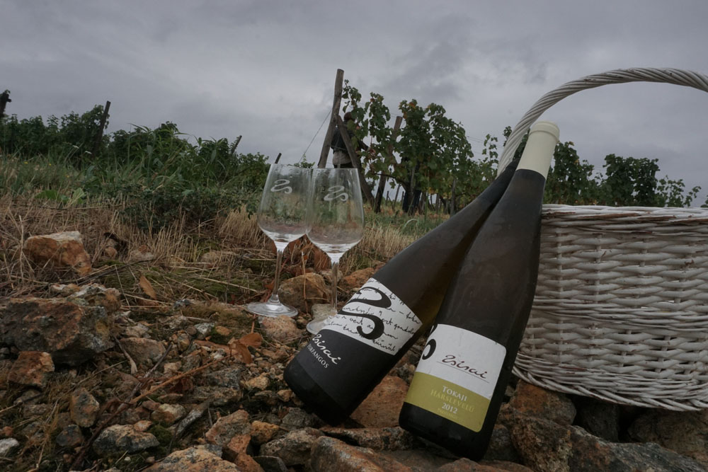 Hölgyek, akiket meg kell ismerned Tokaj-Hegyalján