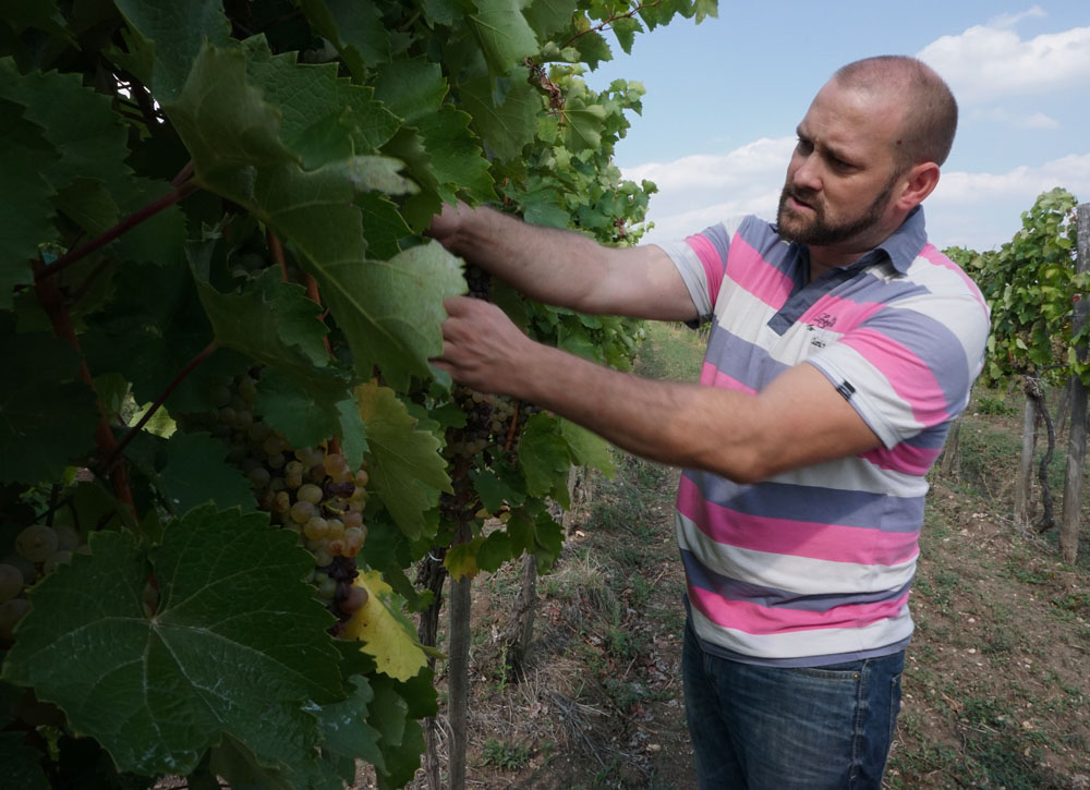 Amire mi sem számítottunk, amikor Tokaj-Hegyaljára indultunk