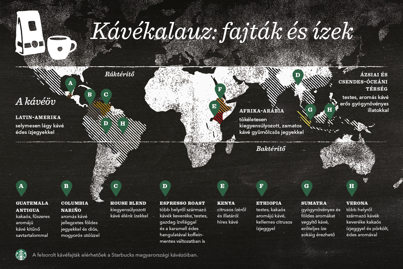 Ezt neked is érdemes tudnod a kávéról