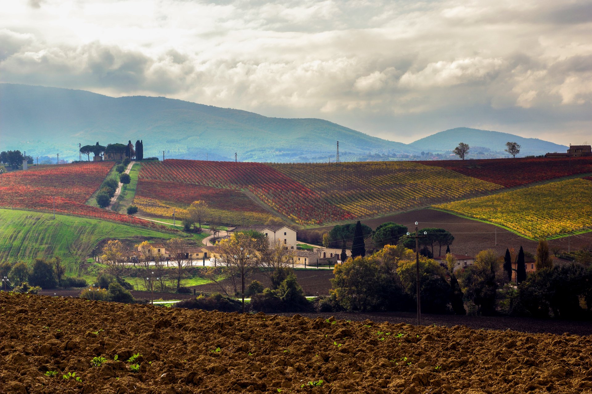 Sagrantino után kutattunk Umbriában