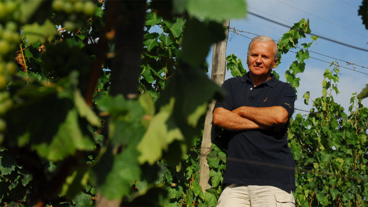 Jásdi István: értékelhető magyar bormarketing valójában nincs