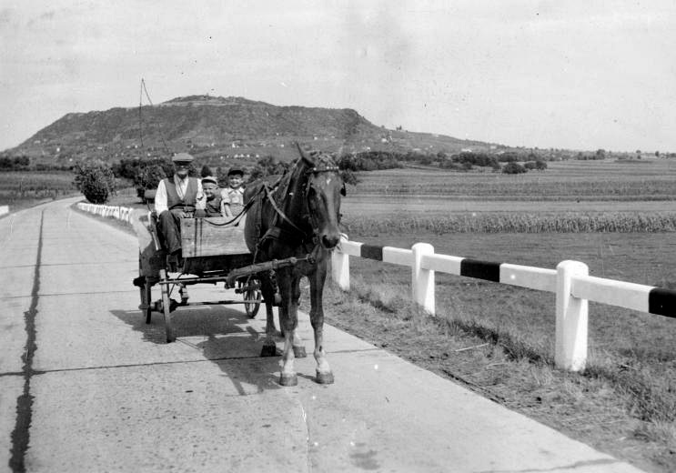 1955 óta csak a Somló nem változott 