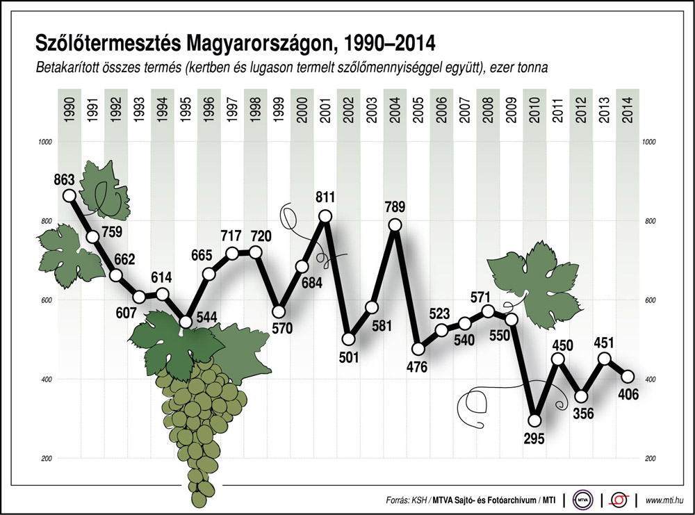 A rendszerváltás óta a felére esett vissza a hazai szőlőtermelés