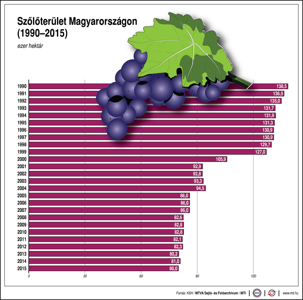 Lassan, de biztosan fogynak a magyar szőlők